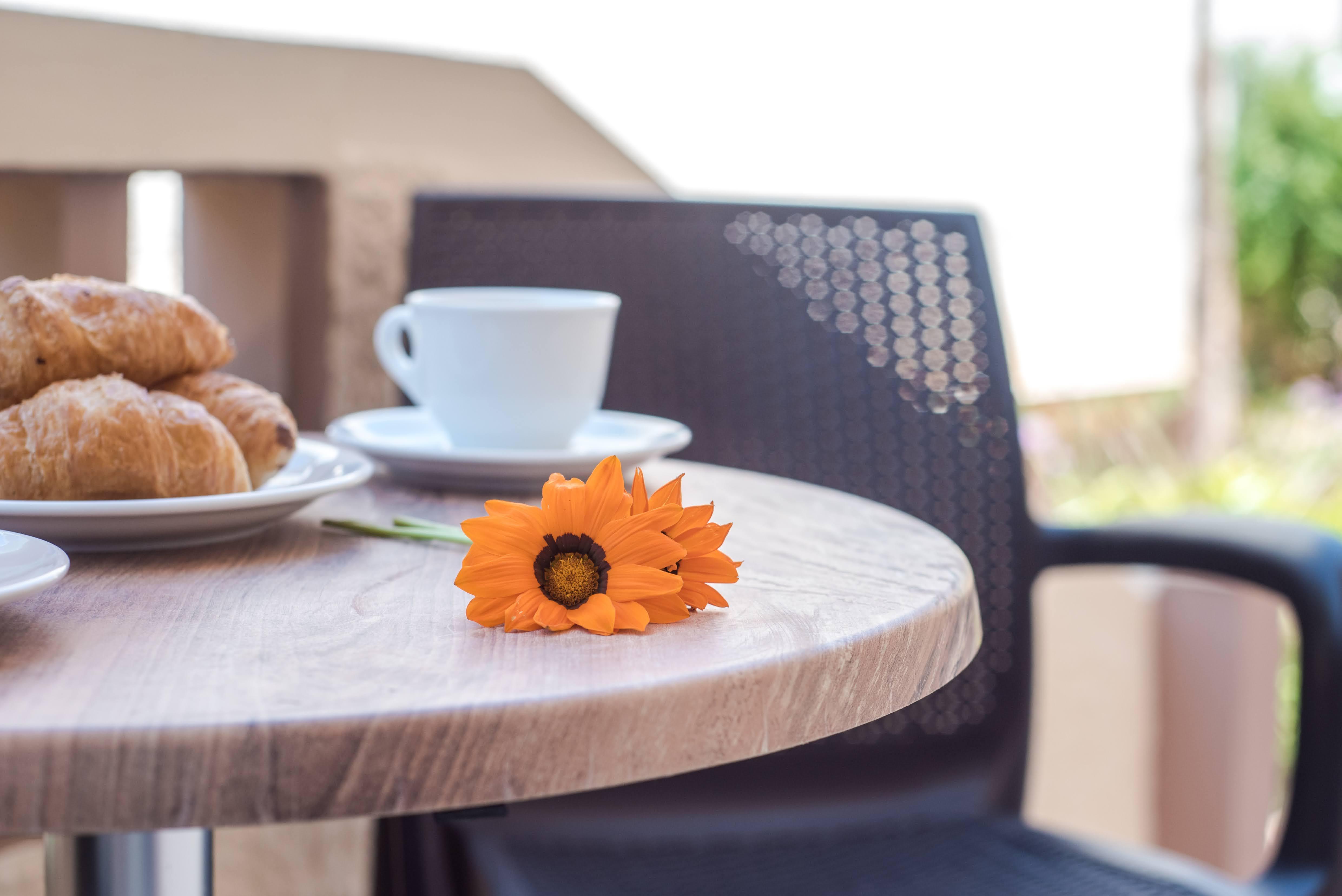 Ilios Malia Hotel Resort Экстерьер фото