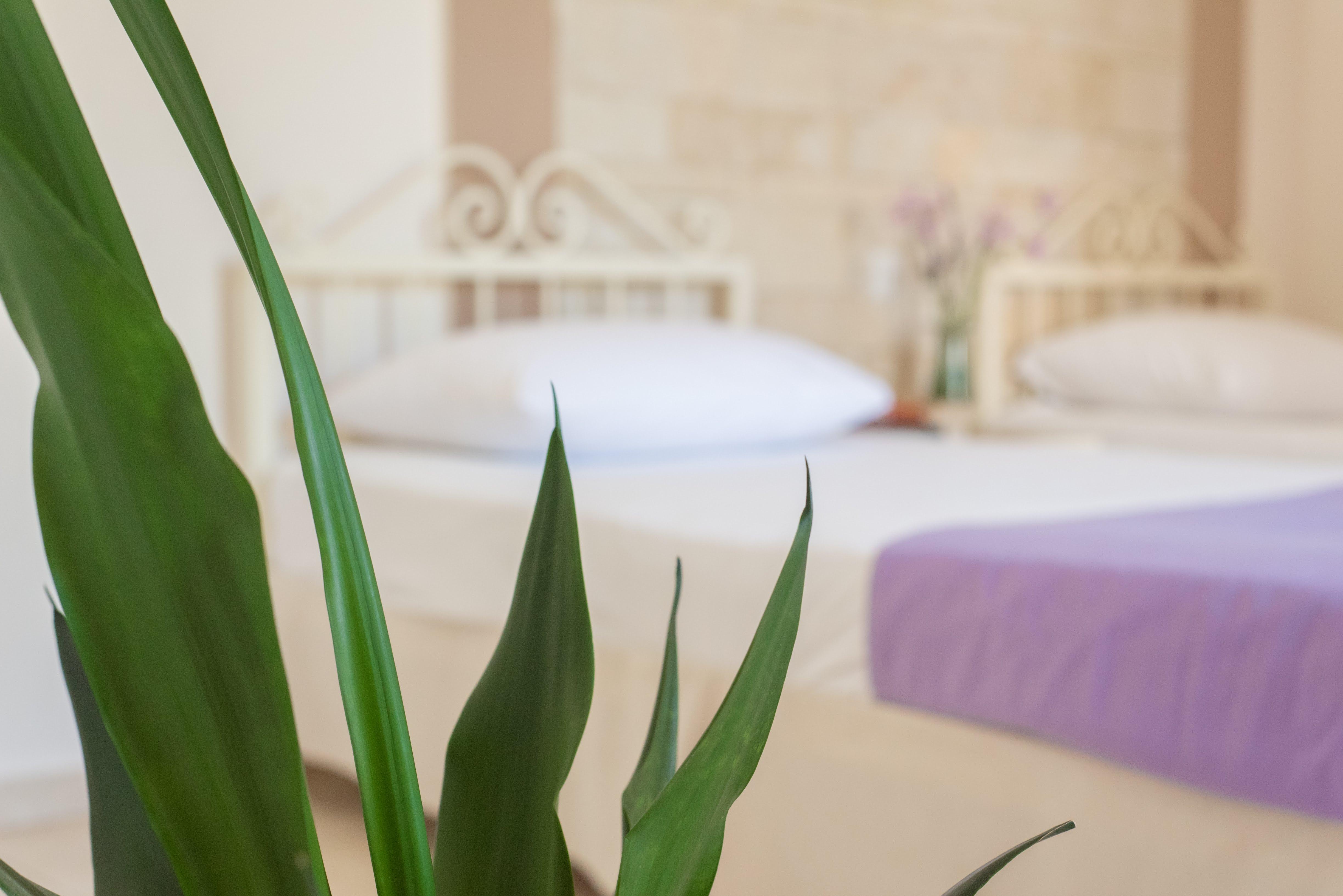 Ilios Malia Hotel Resort Экстерьер фото